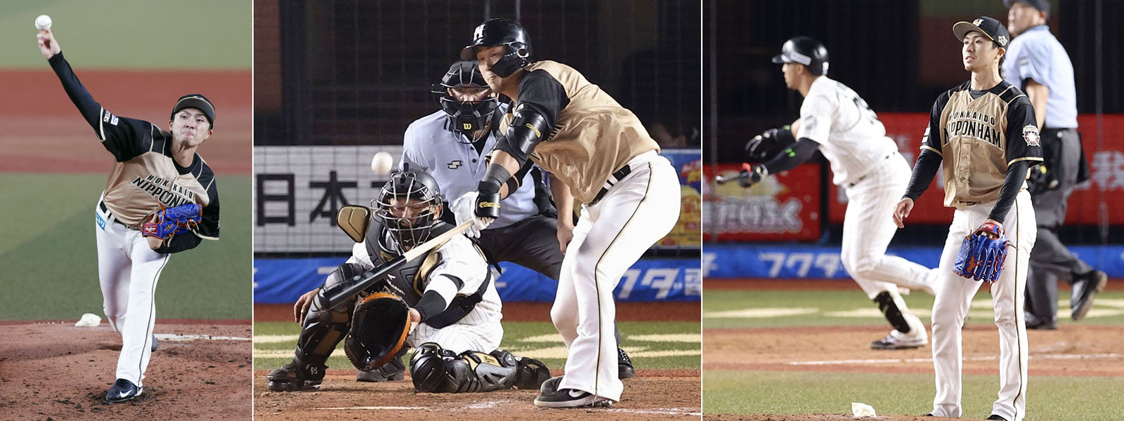 写真: