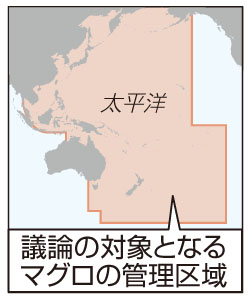 マグロ１５ 増枠維持 国際会議 年末最終決定へ 室蘭民報社 電子版