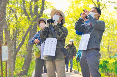 写真：新緑の中、野鳥観察を楽しむ参加者