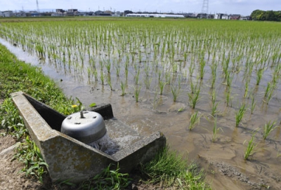 写真：農業用水の供給が試験的に再開され、田んぼに流れ込む水＝２５日午前、愛知県岡崎市