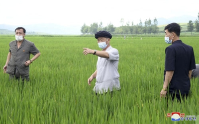 写真：北朝鮮中部の平安南道で農場を視察する金徳訓首相（中央）。朝鮮中央通信が６日報じた（朝鮮通信＝共同）