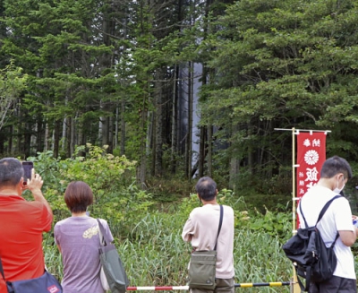 写真：長万部町にある飯生神社敷地内の松林の中で噴き出す水柱（中央奥）＝１５日午後