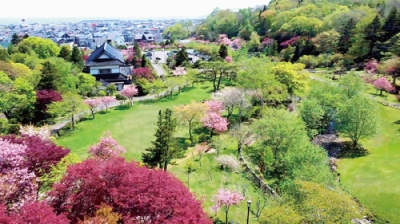 写真：自然豊かな景観が楽しめる亀田記念公園＝２０２２年５月撮影