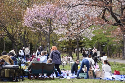 写真：札幌市の桜の名所・円山公園で花見を楽しむ人たち＝２８日午後