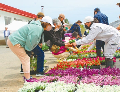 写真：生徒が育てた花の苗を買い求める来場者