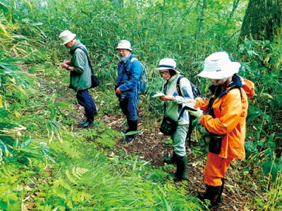 写真：鉱山地区の植物を調査しながらメモを取る参加者（提供写真）