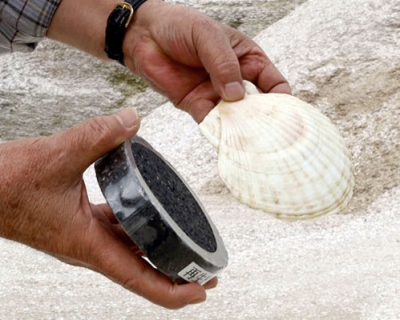 写真：ホタテ貝殻（右）と貝殻の粉末を混ぜ込んだ舗装用アスファルト合材＝八雲町