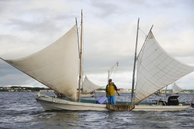写真：白い帆を張り、ホッカイエビ漁をする打瀬船＝２６日午前、別海町