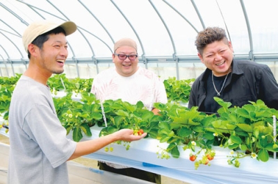 写真：ハウス内で育つイチゴを見る（左から）小笠原社長、藤田さん