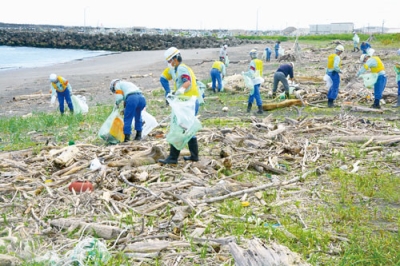 写真：海岸のごみを拾う日本製紙白老工場の社員ら
