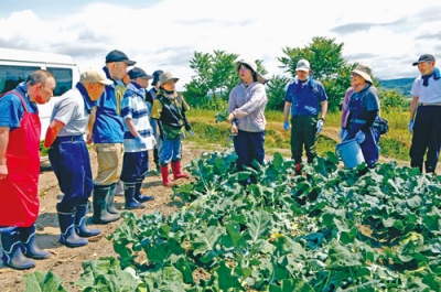 写真：農福連携に取り組む太陽の園が矢野農園を訪問。収穫体験などを行った