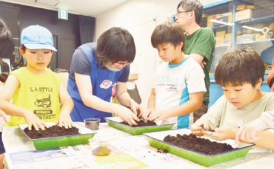 写真：飯山店長に教わり、ヤマトカブトムシの卵探しに夢中になる子どもたち