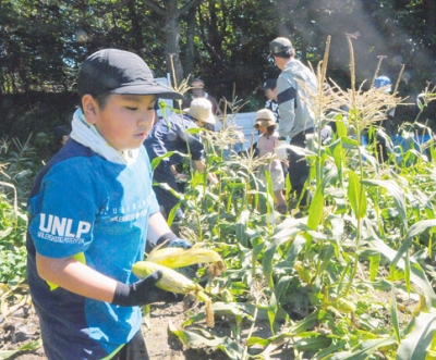 写真：大きく育ったトウモロコシを手にする男子児童