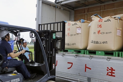 写真：全国農業協同組合連合会新潟県本部のコシヒカリ県外向け出荷式で、トラックに積み込まれる県産米＝１２日午前、新潟市