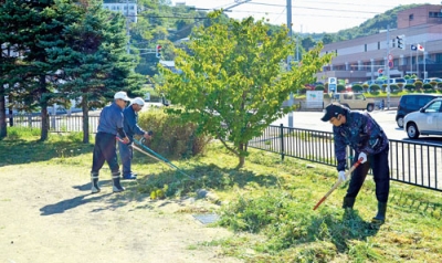 写真：草刈りに汗を流す参加者ら（提供写真）