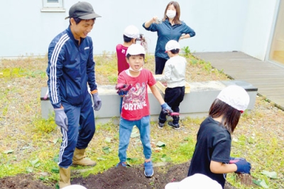 写真：学校の中庭で育てたサツマイモを収穫する児童たち