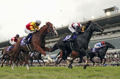 写真：第５８回スプリンターズステークスで優勝したルガル（手前右）＝中山競馬場