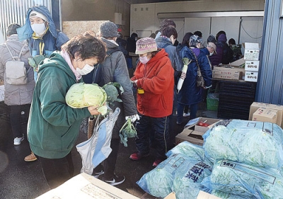 写真：毎週開催し好評の元気市