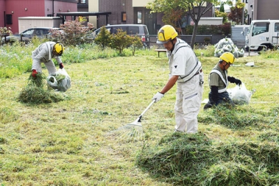 写真：刈り取った草を集める木下建設、栗林機工、水元建設の社員たち