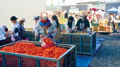 写真：野菜の袋詰め放題に挑戦する来場者