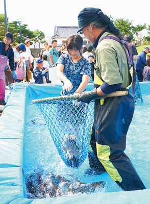 写真：秋サケつかみ取りなど多彩な企画が来場者を楽しませた「だて農業・漁業・大物産まつり」