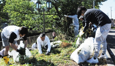 写真：雑草を集める参加者