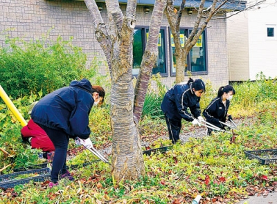 写真：花壇を整備する生徒たち（提供写真）