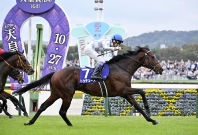 写真：第１７０回天皇賞・秋を制したドウデュース＝東京競馬場