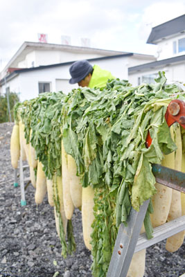 写真：民家の庭に干されたダイコン＝洞爺湖町入江