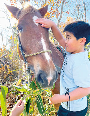 写真：馬に触れながら「馬搬」について学んだ子ども（提供写真）