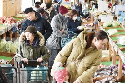 写真：正月料理に使う新鮮な伊達野菜を求める買い物客ら