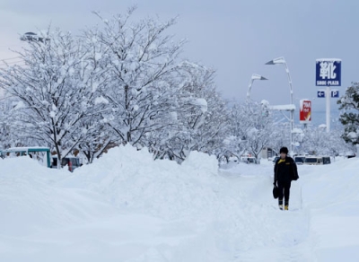 写真：雪に覆われた山形県鶴岡市の中心部＝１０日午前</dhp>  </dhdiv>