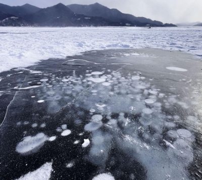 写真：上士幌町の糠平湖に出現した「アイスバブル」＝１５日午前