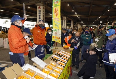 写真：宮崎市中央卸売市場で行われた完熟キンカン「たまたま」の初競り＝１６日午前