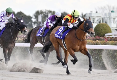 写真：第４２回フェブラリーステークスを制したレイチェル・キング騎乗のコスタノヴァ（９）＝東京競馬場