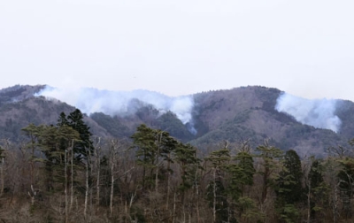 写真：岩手県大船渡市の山林火災現場から上がる煙＝３日午前１０時４１分