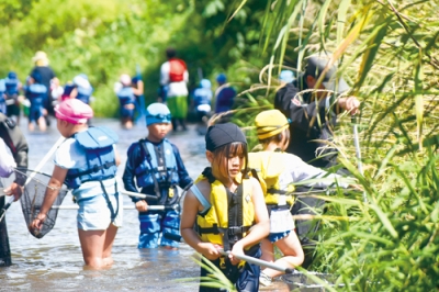 写真:気門別川に入り、水中の生き物を探す児童たち