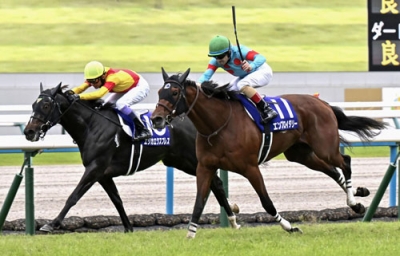 写真:第30回秋華賞で優勝し、牝馬2冠を獲得したエンブロイダリー(右)。左は2着のエリカエクスプレス=京都競馬場