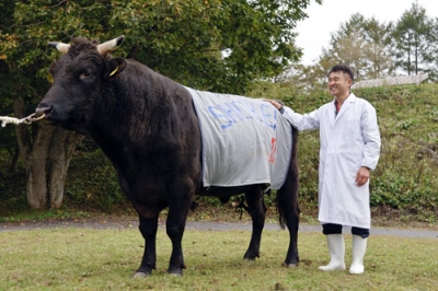 写真:種牛「菊美翔平」と岩手県農業研究センター畜産研究所の昆野勝次長=10月、岩手県住田町