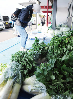 写真:大袋で売られている越冬野菜