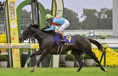 写真:第86回菊花賞を制したクリストフ・ルメール騎乗のエネルジコ=京都競馬場