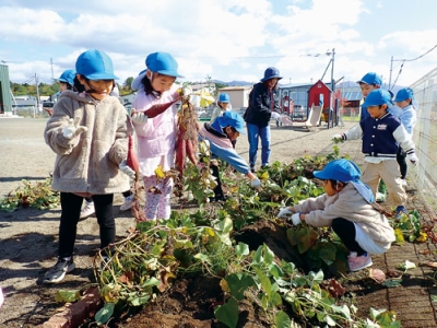 写真:収穫したサツマイモに満足げな園児たち(提供写真)