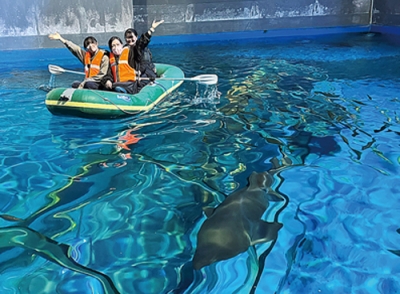 写真:1日から開催している大水槽ツアー(提供写真)