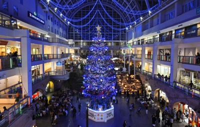 写真:札幌市の大型商業施設「サッポロファクトリー」で点灯されたクリスマスツリー。白や金など6色のLED電球約5万個が輝いた=1日夜