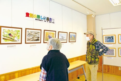 写真:市内近郊で撮影した野鳥の作品が並ぶ写真展