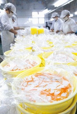 写真:漬け込んだいずしを製品用のたるに移し替える従業員=10月30日午前