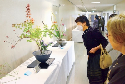 写真:会員の力作が並ぶいけばな展