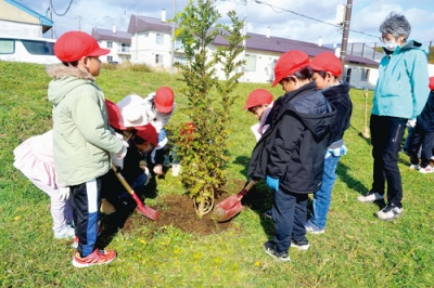 写真:協力してサンショウの苗木を植える児童たち