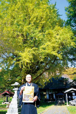 写真:見ごろを迎えたイチョウの前で来場を呼びかける有珠善光寺関係者