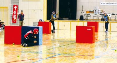 写真:盛り上がりを見せた町民ゆきがっせん